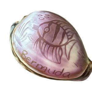 Decorative Pink Fish Shell